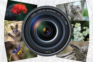 2024-world-wildlife-day